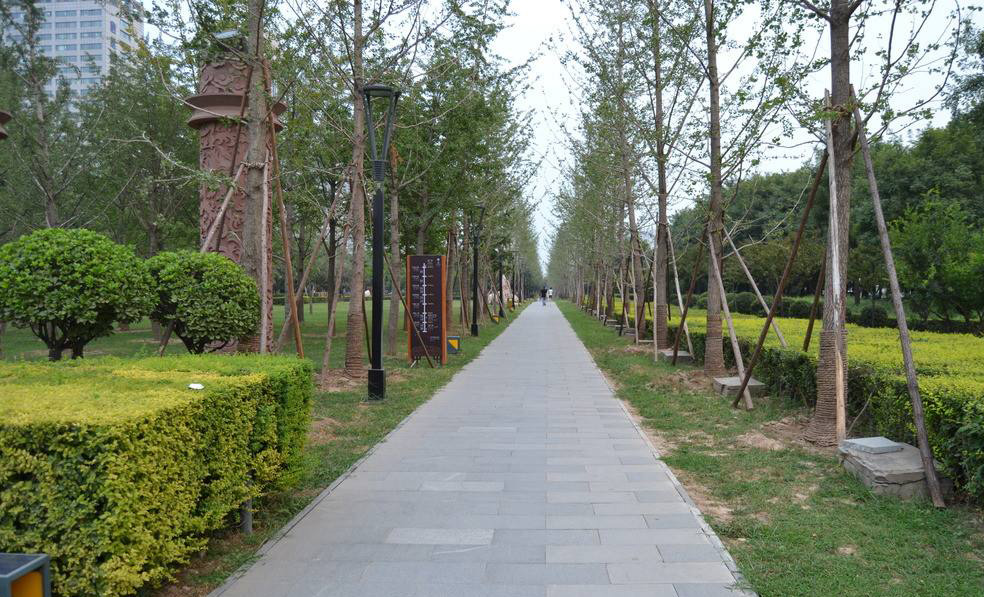 重庆市荣昌区北部新区人民公园.jpg